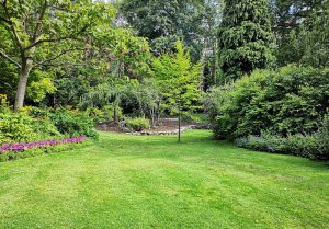 Optimiser l'expérience du jardin à Villers-en-Haye